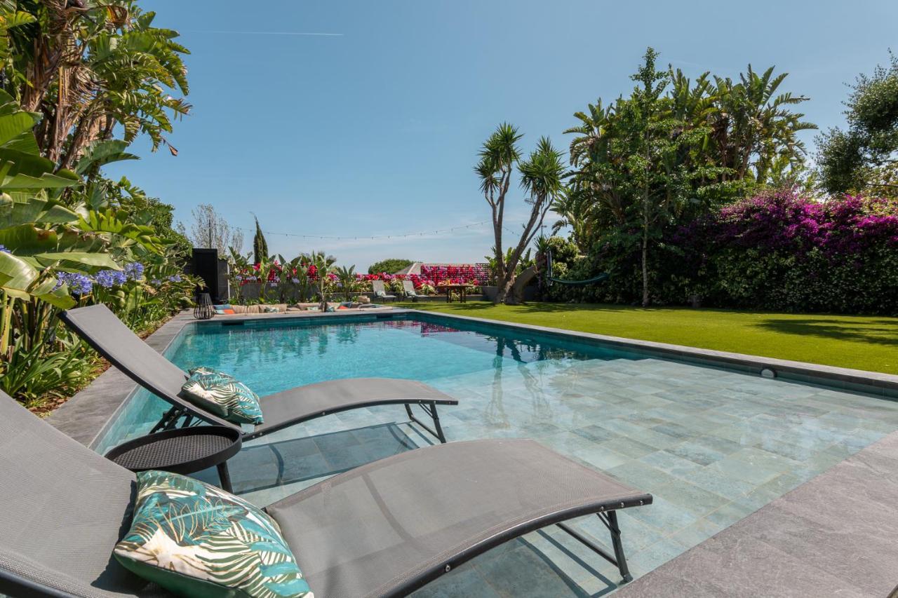 Barcelona'S Tropical Oasis Villa Sant Just Desvern Eksteriør bilde